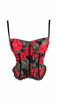 Corset Rosália